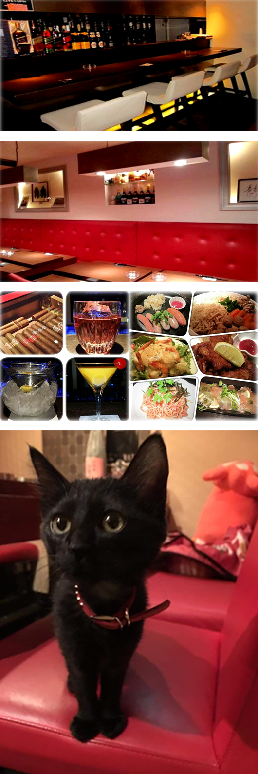 阿佐ヶ谷北口駅前 スターロード商店会 Tom S Bar 阿佐ヶ谷北口駅前 スターロード商店会 Tom S Bar